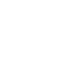 רשת 13